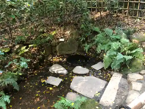 明治神宮(東京都)