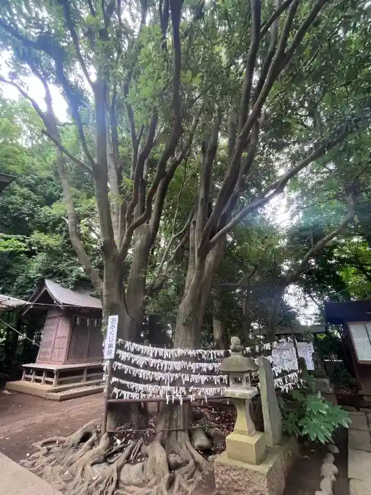 小平神明宮(東京都)