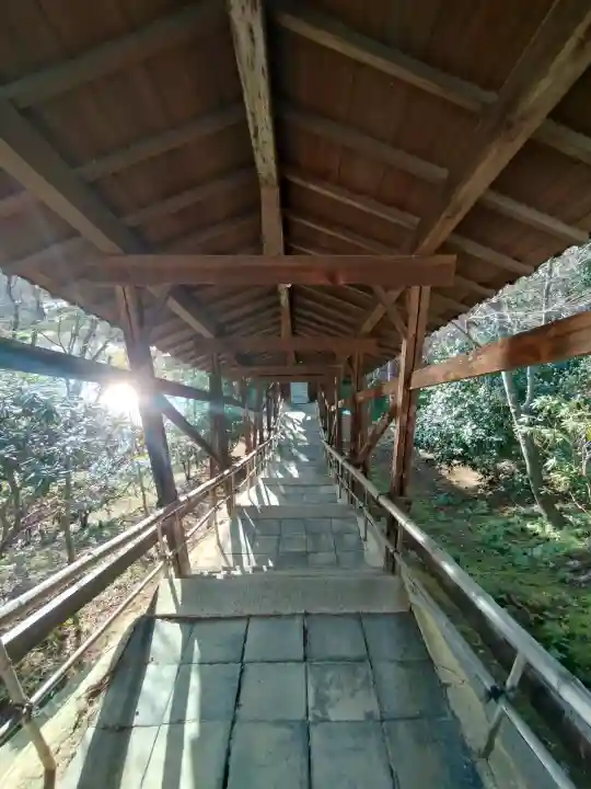 高台寺(高台寿聖禅寺・高臺寺)の{uncategorized: "未分類", other: "その他", undefined: "問題あり", building: "その他建物", grave: "お墓", sacred_gate: "鳥居", guardian: "狛犬", statue: "像", buddha: "仏像", history: "歴史", nature: "自然", garden: "庭園", animal: "動物", pagoda: "塔", temizu: "手水舎", mountain_gate: "山門・神門", sanctuary: "本殿・本堂", subordinate: "末社・摂社", art: "芸術", scenery: "景色", jizo: "地蔵", ema: "絵馬", goshuin: "御朱印", omikuji: "おみくじ", items: "授与品その他", amulet: "お守り", goshuincho: "御朱印帳", eats: "食事", festival: "お祭り", votive_dance: "神楽", shichigosan: "七五三参", wedding: "結婚式", experience: "体験その他", initially: "初詣", around: "周辺", anti_infection: "感染症対策"}