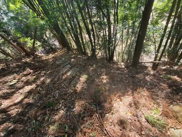 羽黒神社(飛駒町)(栃木県)