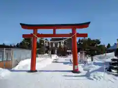 美瑛神社の鳥居