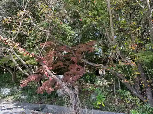 自凝島神社(兵庫県)