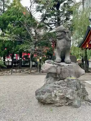 浅草神社の狛犬