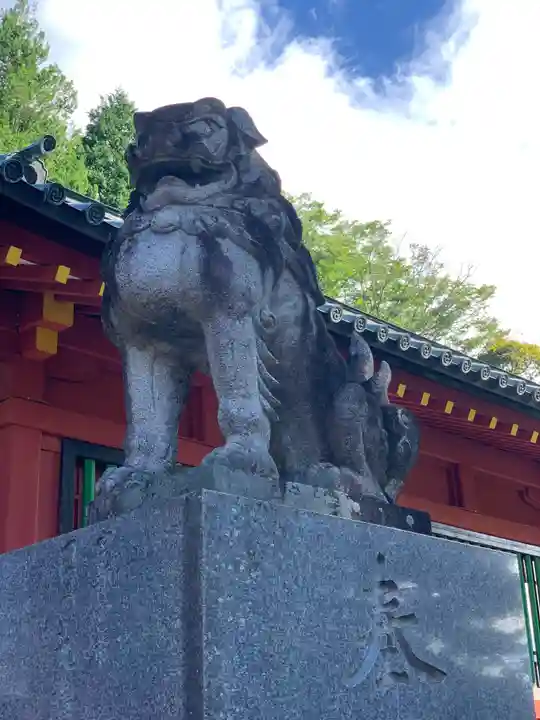 日光二荒山神社中宮祠の狛犬