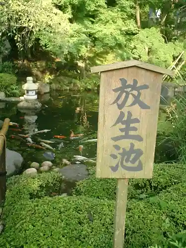 長谷寺の庭園