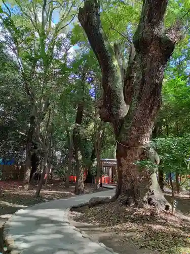 生田神社(兵庫県)