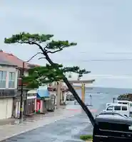 日御碕神社(島根県)