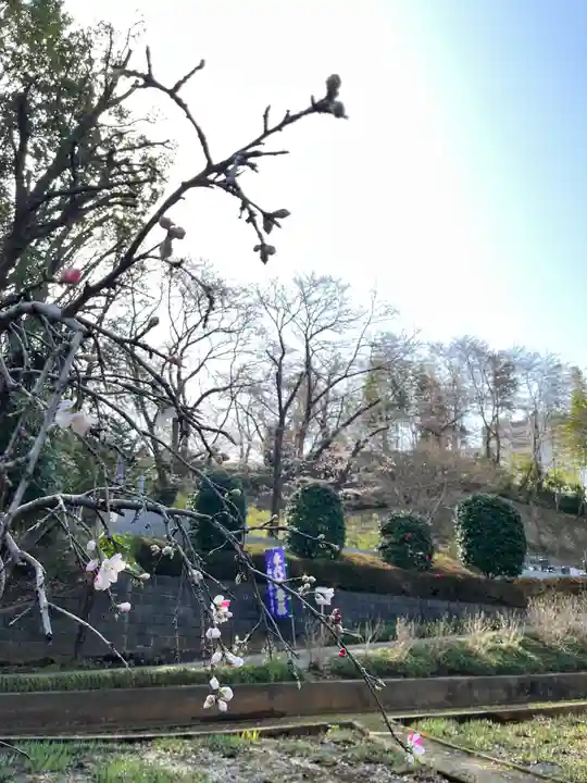 天台宗 長窪山 正覚寺の自然