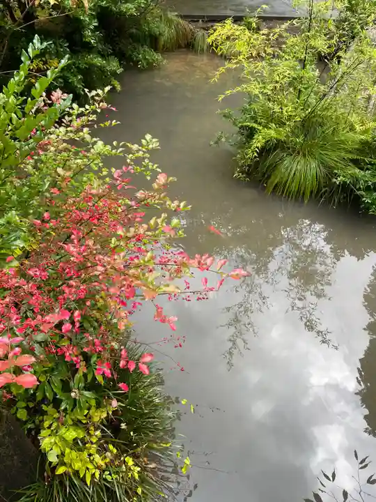 国上寺(新潟県)