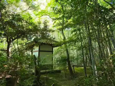 滝口寺(京都府)