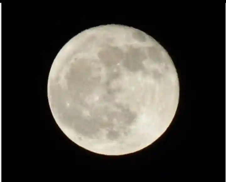 櫻木神社(千葉県)