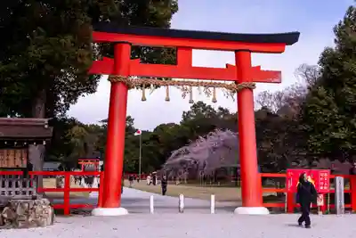 賀茂別雷神社（上賀茂神社）(京都府)