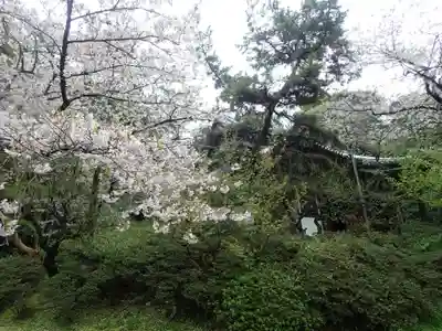 根岸八幡神社(神奈川県)