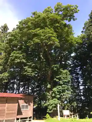 光清寺(山形県)