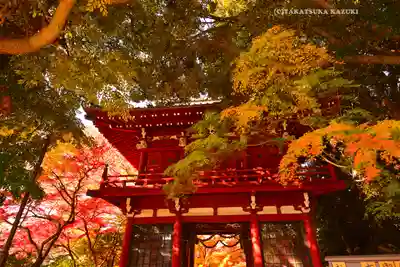 本土寺(千葉県)