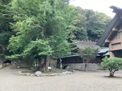 安房神社(千葉県)