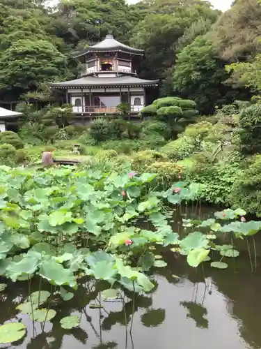 光明寺の庭園