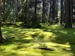 平泉寺白山神社の庭園