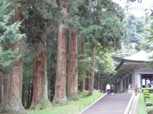 中尊寺金色堂(岩手県)