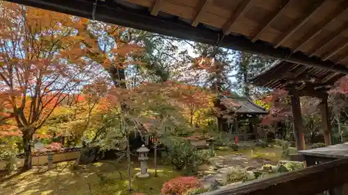十輪寺(京都府)