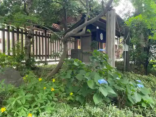 阿佐ヶ谷神明宮(東京都)