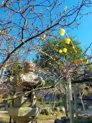 石光寺(奈良県)