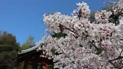 安岡寺(大阪府)
