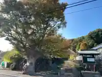 横浜 西方寺のその他建物