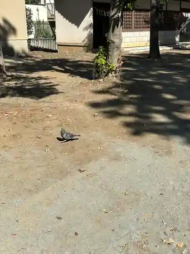 小野神社(東京都)