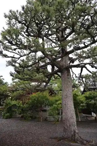 穴太寺(京都府)