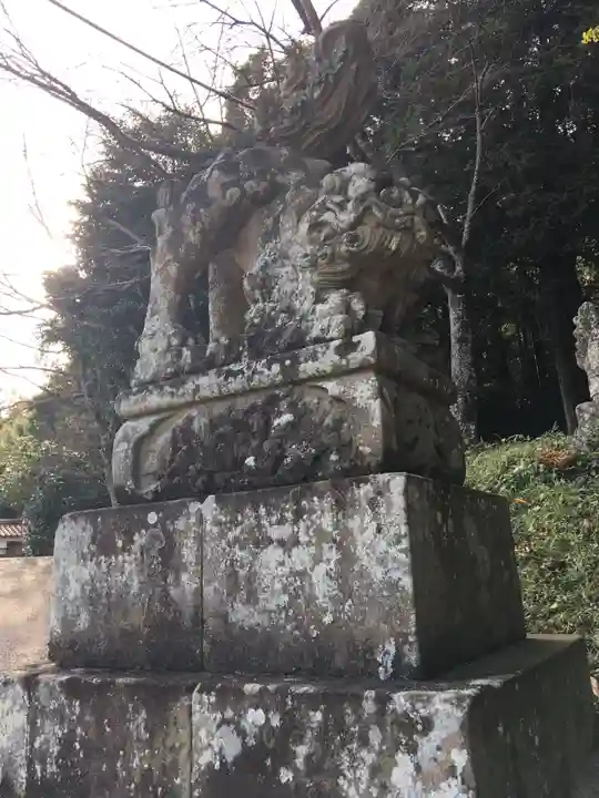 赤猪岩神社の狛犬