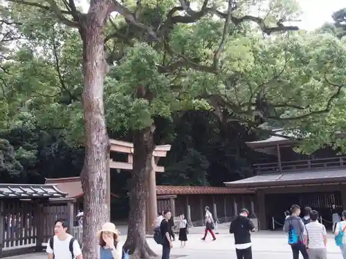 明治神宮の建物その他