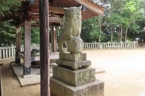 新宮神社の狛犬