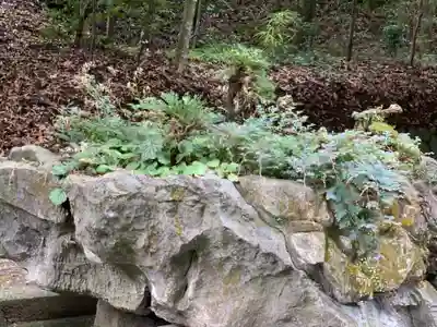 天岩戸神社(宮崎県)