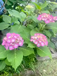 當光寺(東京都)(2025年05月30日(金) 17時28分47秒投稿)