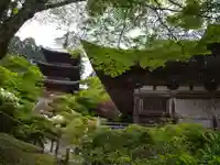 常樂寺(滋賀県)