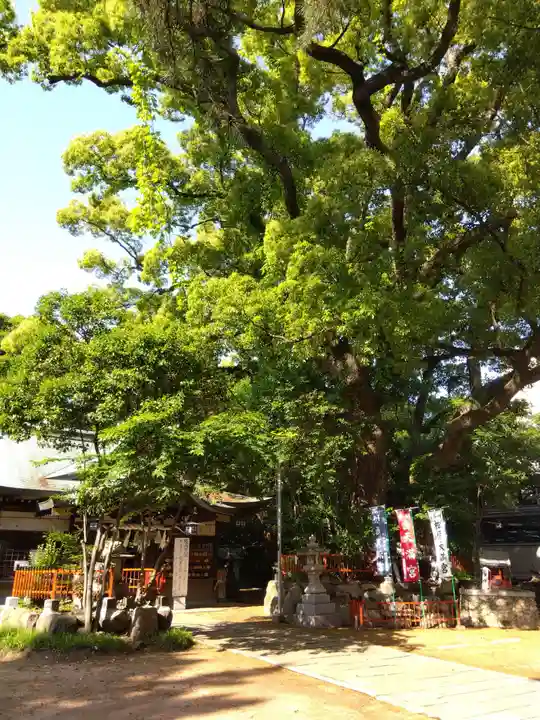 松原神社の自然