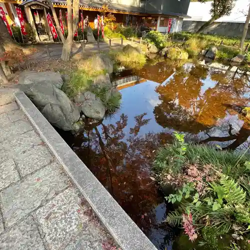 増上寺塔頭 三縁山 宝珠院の庭園