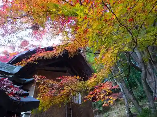 教林坊(滋賀県)