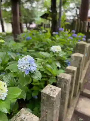 飯笠山神社(長野県)