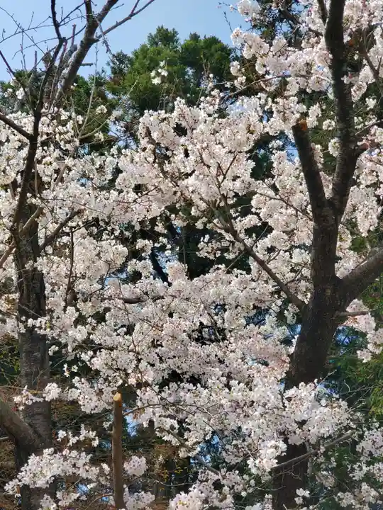 東日尊神社の自然