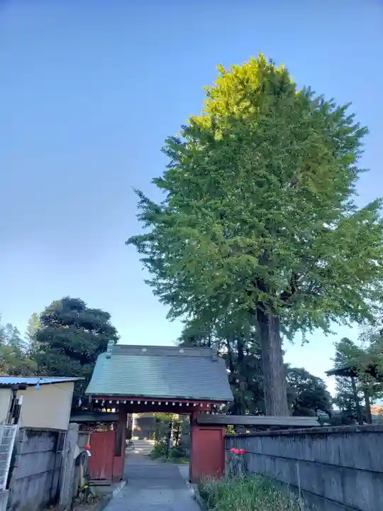安養寺(東京都)