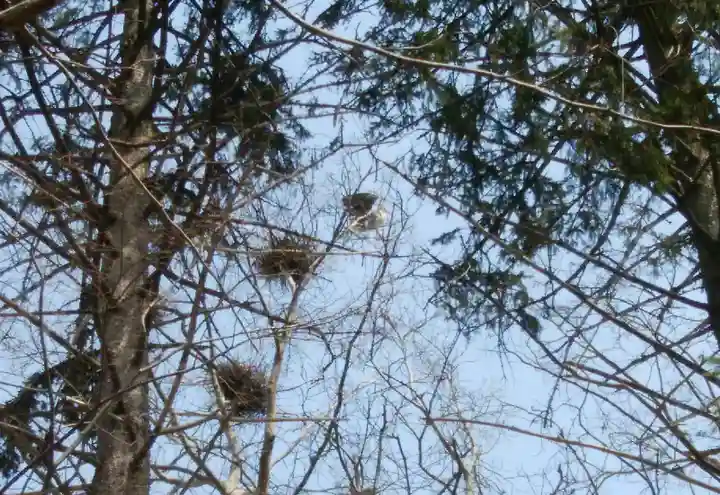 長沼神社(北海道)