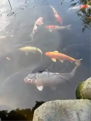 熊野神社(山形県)