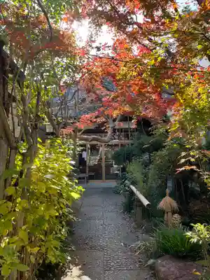 宗周院(東京都)