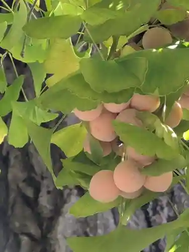 仏法紹隆寺(長野県)