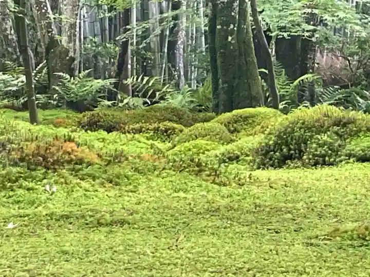 祇王寺(京都府)