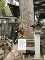 三峯神社の自然