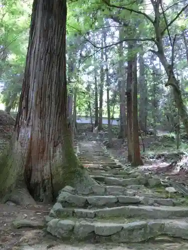 佛通寺の建物その他