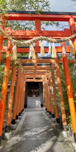 天乃神社(大阪府)